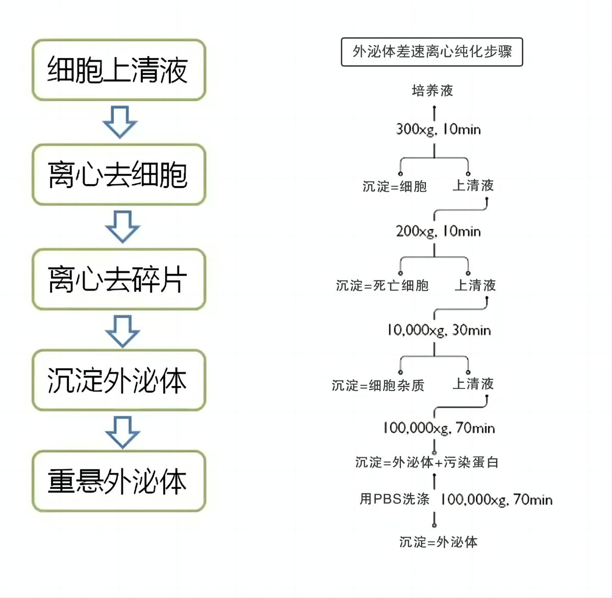 美高梅电子娱乐游戏app- -官网